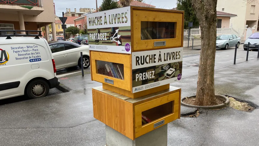 ruche a livres.webp